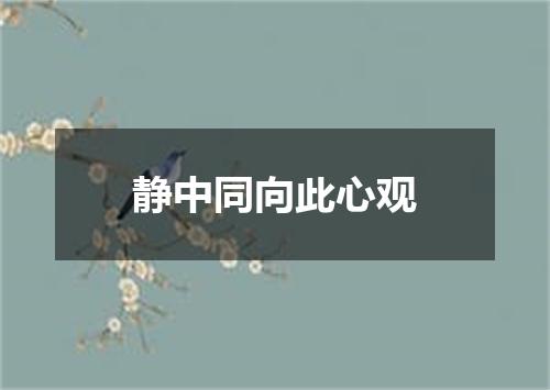 静中同向此心观