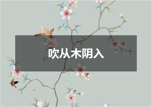 吹从木阴入