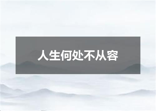 人生何处不从容