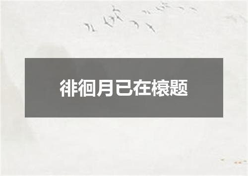 徘徊月已在榱题