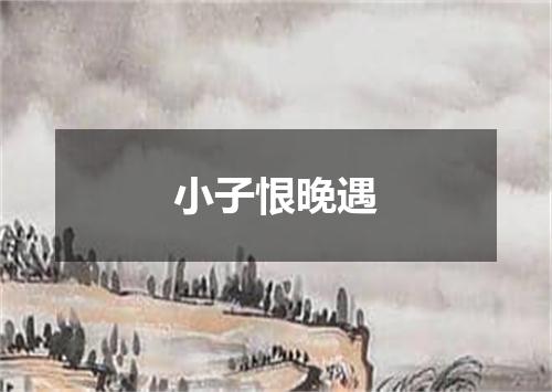 小子恨晚遇