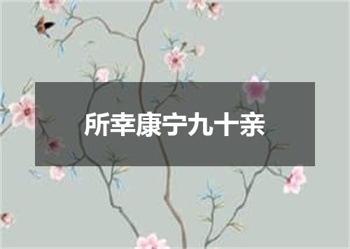 所幸康宁九十亲