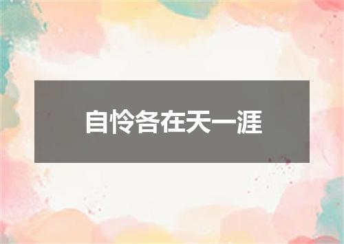 自怜各在天一涯
