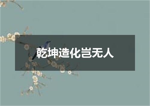 乾坤造化岂无人
