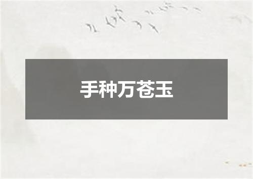 手种万苍玉