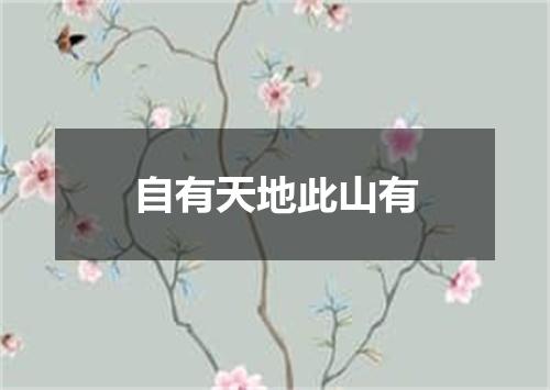 自有天地此山有