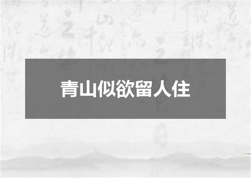 青山似欲留人住