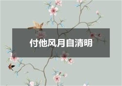 付他风月自清明