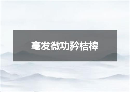 毫发微功矜桔槔