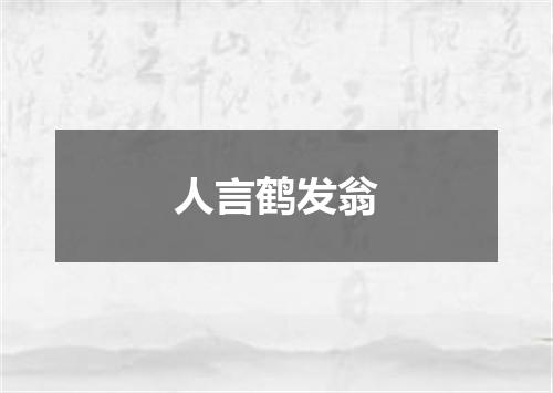 人言鹤发翁