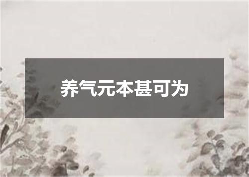 养气元本甚可为
