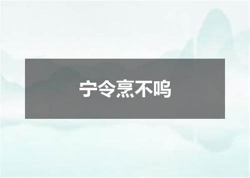 宁令烹不呜