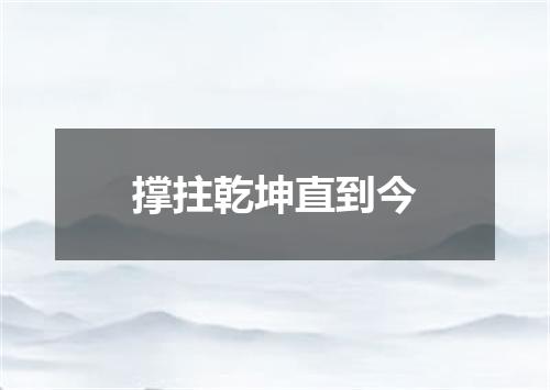 撑拄乾坤直到今