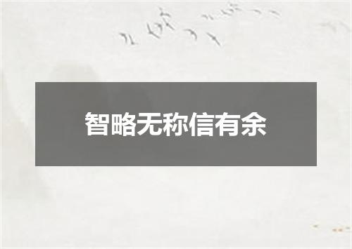 智略无称信有余
