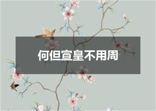 何但宣皇不用周