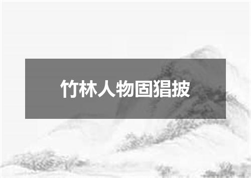竹林人物固猖披