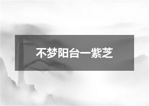 不梦阳台一紫芝