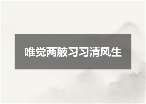 唯觉两腋习习清风生