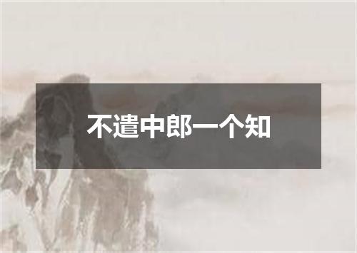不遣中郎一个知