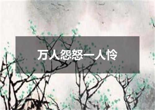 万人怨怒一人怜