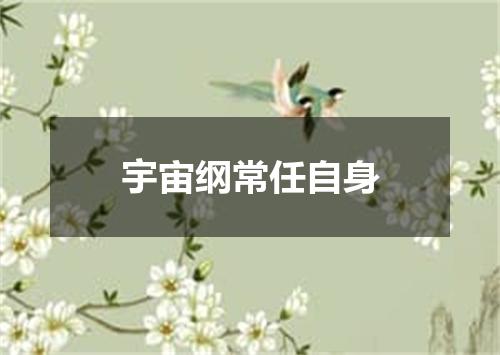 宇宙纲常任自身