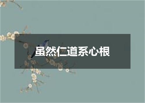 虽然仁道系心根