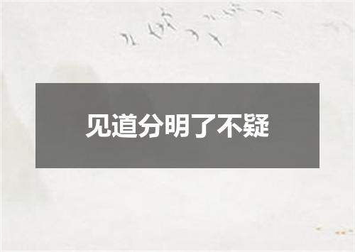 见道分明了不疑