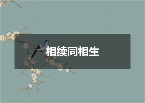 相续同相生