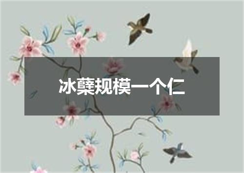冰蘖规模一个仁