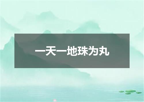 一天一地珠为丸
