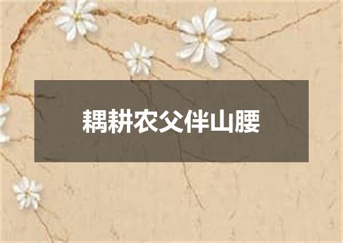 耦耕农父伴山腰