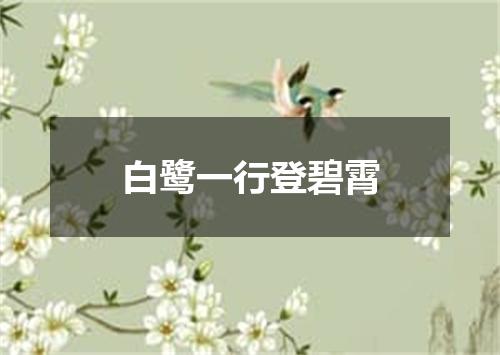 白鹭一行登碧霄