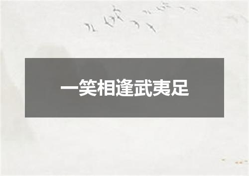 一笑相逢武夷足