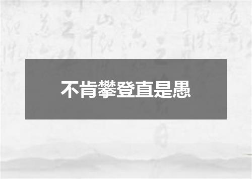 不肯攀登直是愚