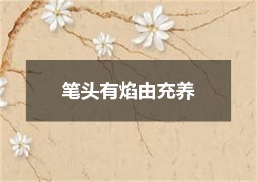 笔头有焰由充养