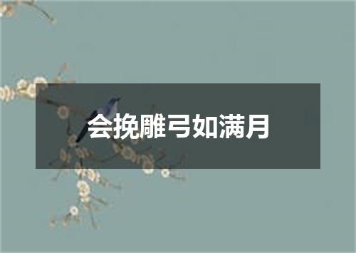 会挽雕弓如满月