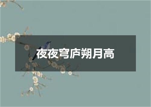 夜夜穹庐朔月高