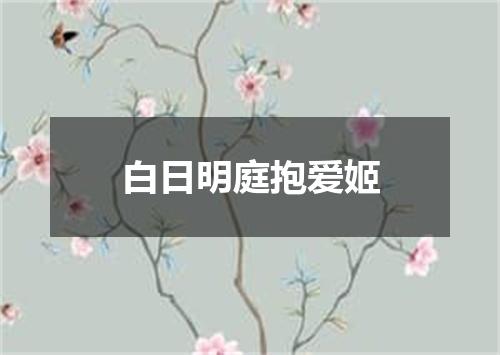 白日明庭抱爱姬