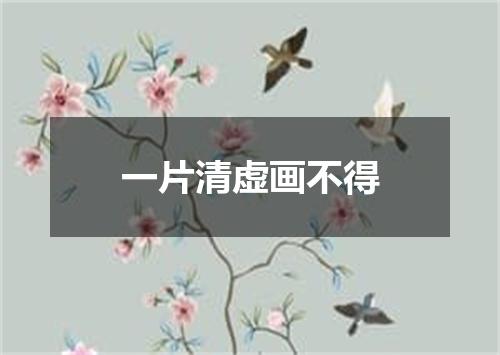 一片清虚画不得