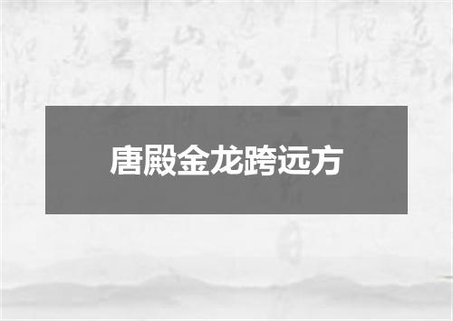 唐殿金龙跨远方