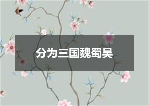 分为三国魏蜀吴