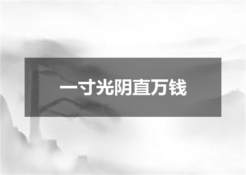 一寸光阴直万钱