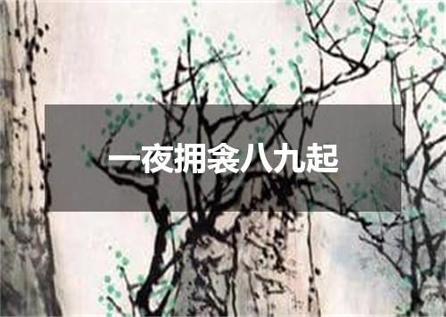 一夜拥衾八九起