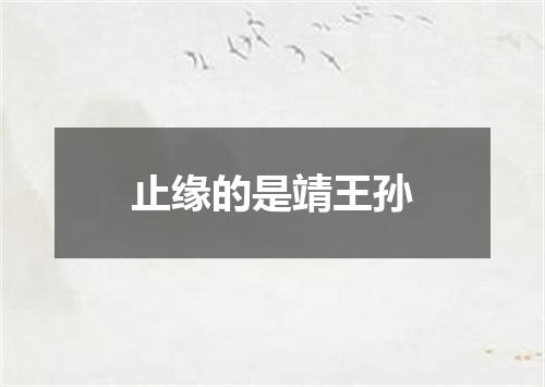 止缘的是靖王孙