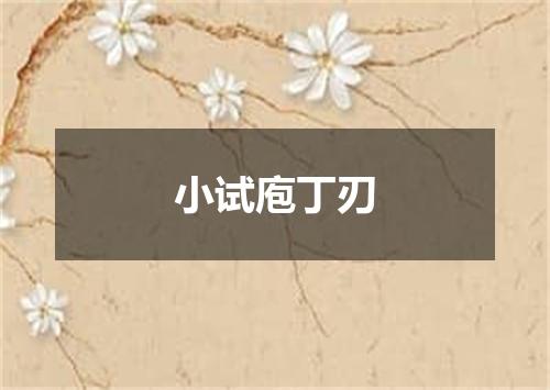 小试庖丁刃