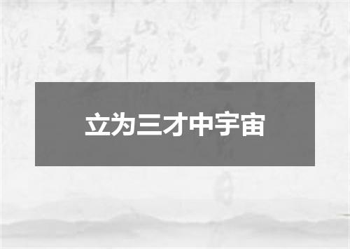 立为三才中宇宙