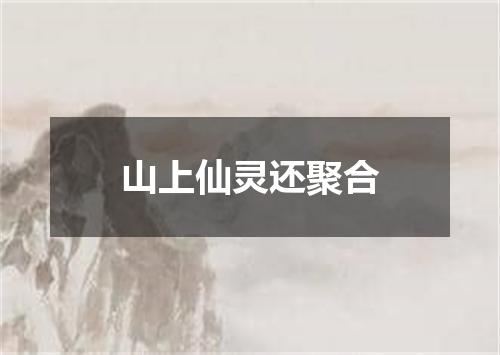 山上仙灵还聚合