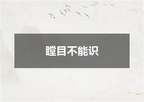 瞠目不能识