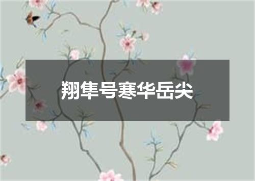 翔隼号寒华岳尖