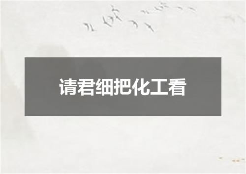 请君细把化工看
